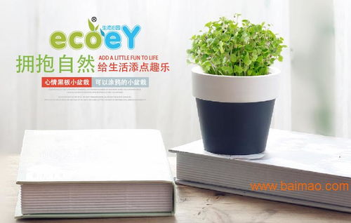 植物與心情對(duì)話 體驗(yàn)ecoey迷你陶瓷花盆的文創(chuàng)美學(xué)